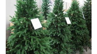 Ёлочный бум в ЦНТ 'Комсомолка'