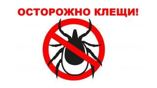 Осторожно, клещ!